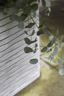 Capi Plantenbak Vierkant Nature Row NL - L40 X B40 X H40cm - Ivoor -Huisdecoratie pot vierkant row nl 40x40x40 ivoor plantenbak 6 9