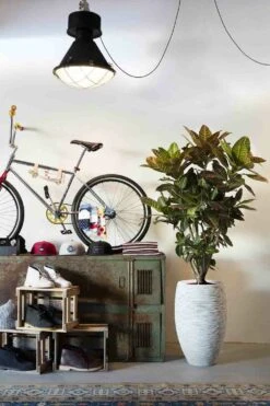 Capi Bloempot Hoog Nature Elegant Deluxe Rib NL - D38 X H58cm - Ivoor -Huisdecoratie vaas elegant deluxe rib nl 40x60 ivoor bloempot 7 8